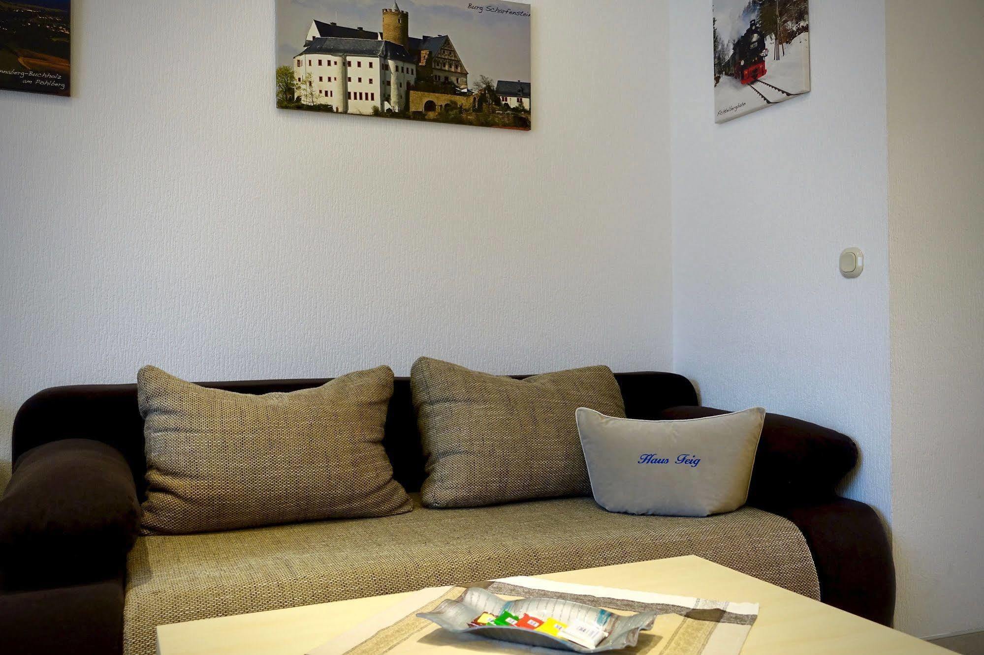 Ferienwohnung Haus Feig Geyer Buitenkant foto