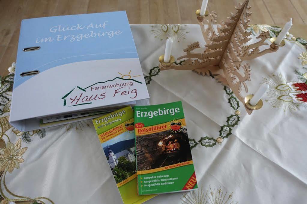 Ferienwohnung Haus Feig Geyer Buitenkant foto